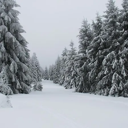 Gasthof-stadel 3* Schierke